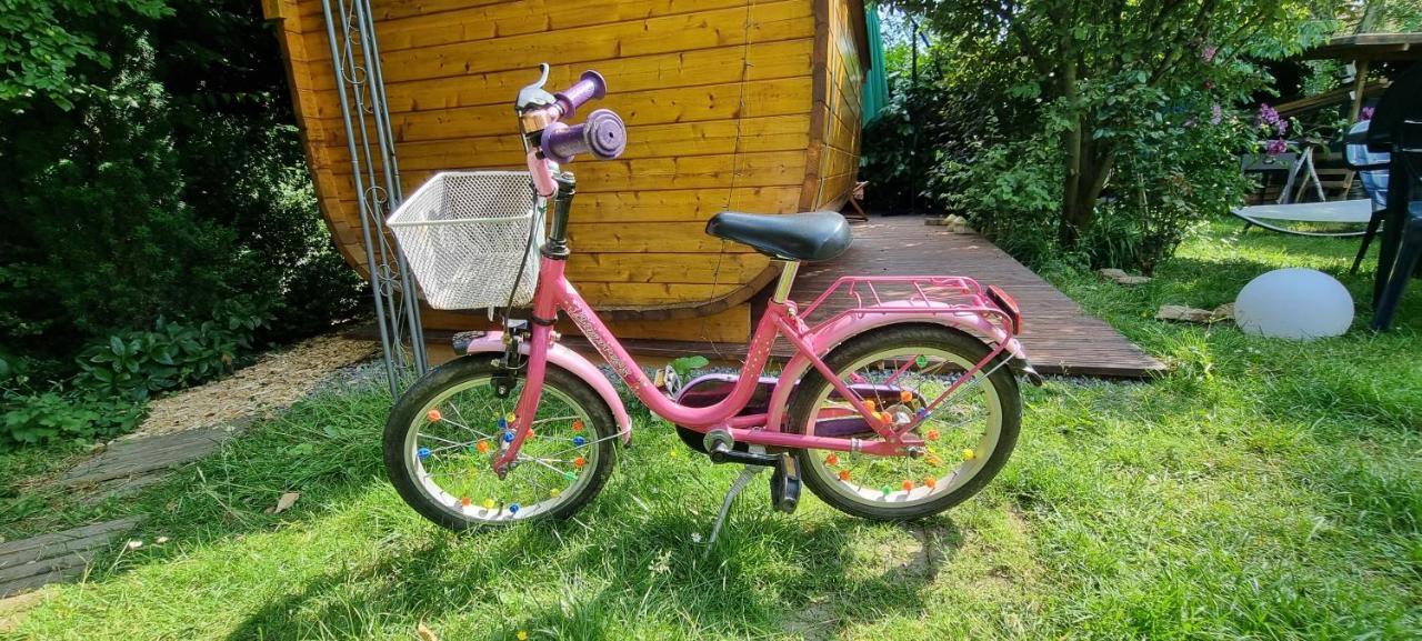 Souterrainwohnung Mit Grossem Garten Und Sauna คาสเซล ภายนอก รูปภาพ